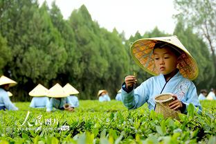 名宿：多特倚重罗伊斯和胡梅尔斯就别想夺冠，罗伊斯只关心头发